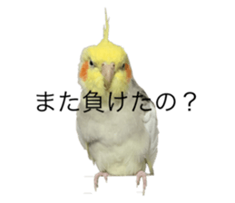 793762181