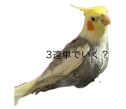 793762186