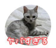 793763865