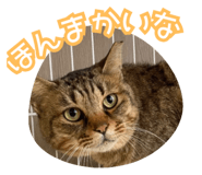 793763870