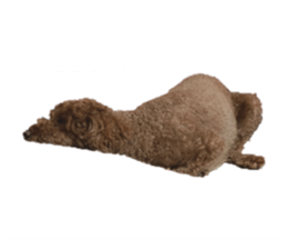 793765973