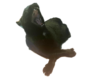 793767166