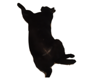 793767168