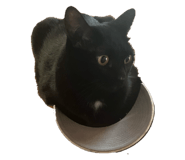 793767172