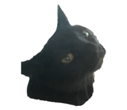 793767178