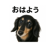 793771873