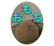 793776977