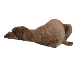 793777565
