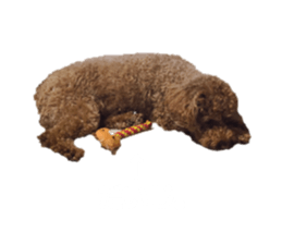 793777569