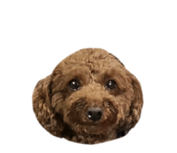 793777576