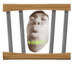793782906