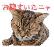 793796133