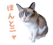 793796134