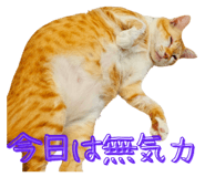 793796137