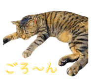 793796138