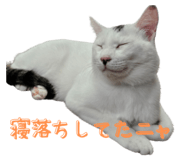 793796139