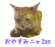 793796146