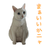 793796148