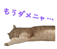 793796149