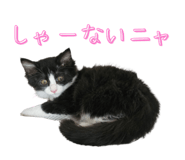 793796152