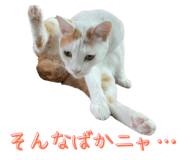 793796159