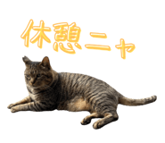 793796160