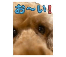 793796220
