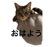 793799565