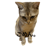 793799567