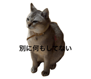 793799569