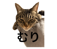793799576