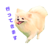 793799777