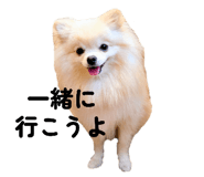793799778