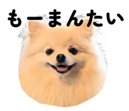 793799779