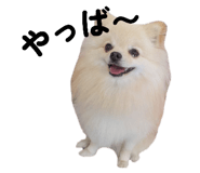 793799782