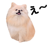 793799784