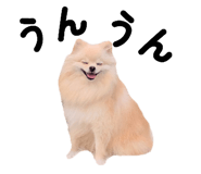 793799785