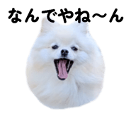 793799788