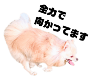 793799789