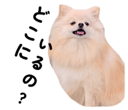 793799792