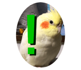 793801402