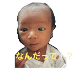 793806676