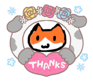 793811226