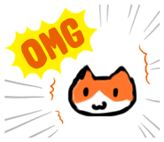 793811239