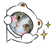 793814496
