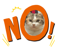 793814500