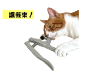 793818922