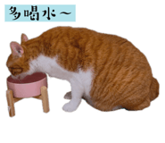 793818923