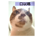 793818927