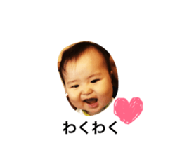 79382510